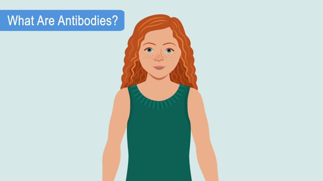 What are Antibodies?