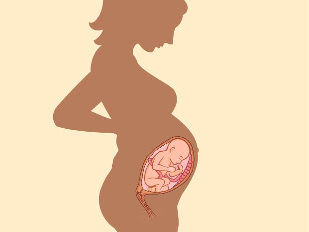 Image shows a silhouette of a woman with a fetus inside her uterus. 